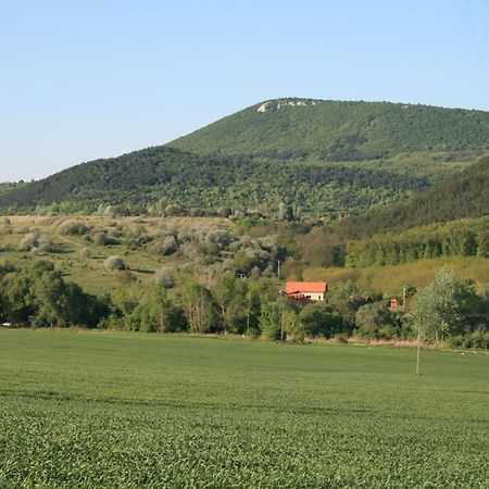 Gasthaus Malomdulo Farmhaz Pilisborosjenő Exterior foto