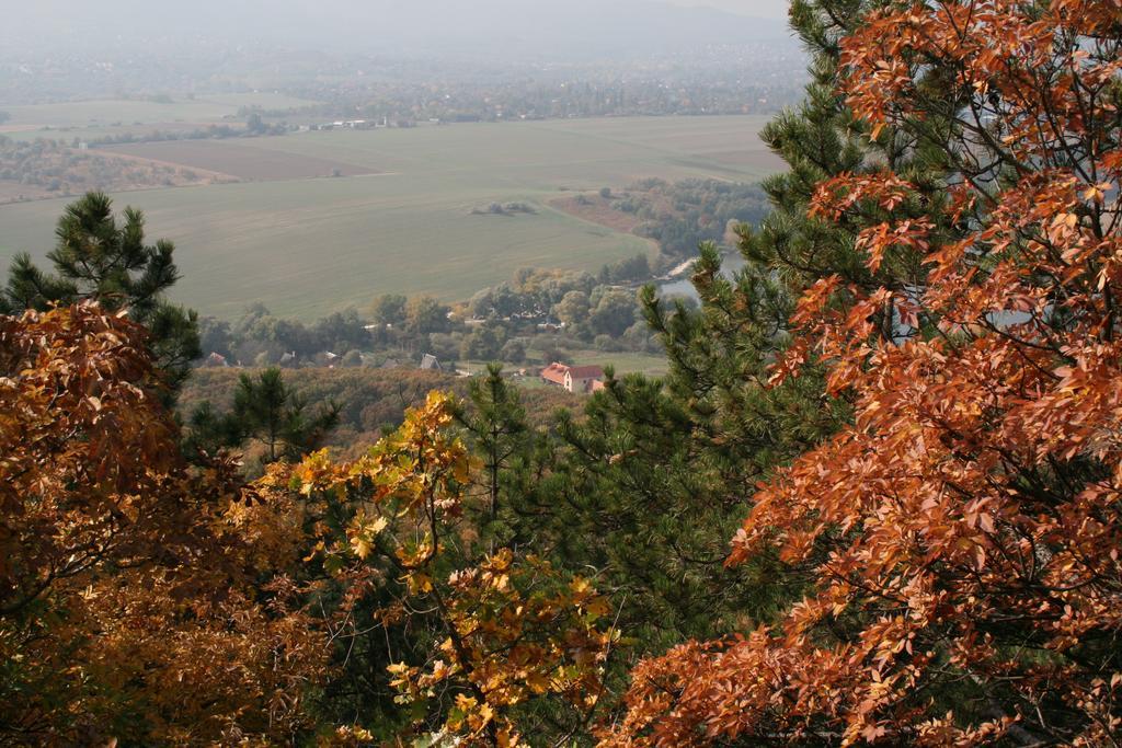 Gasthaus Malomdulo Farmhaz Pilisborosjenő Exterior foto
