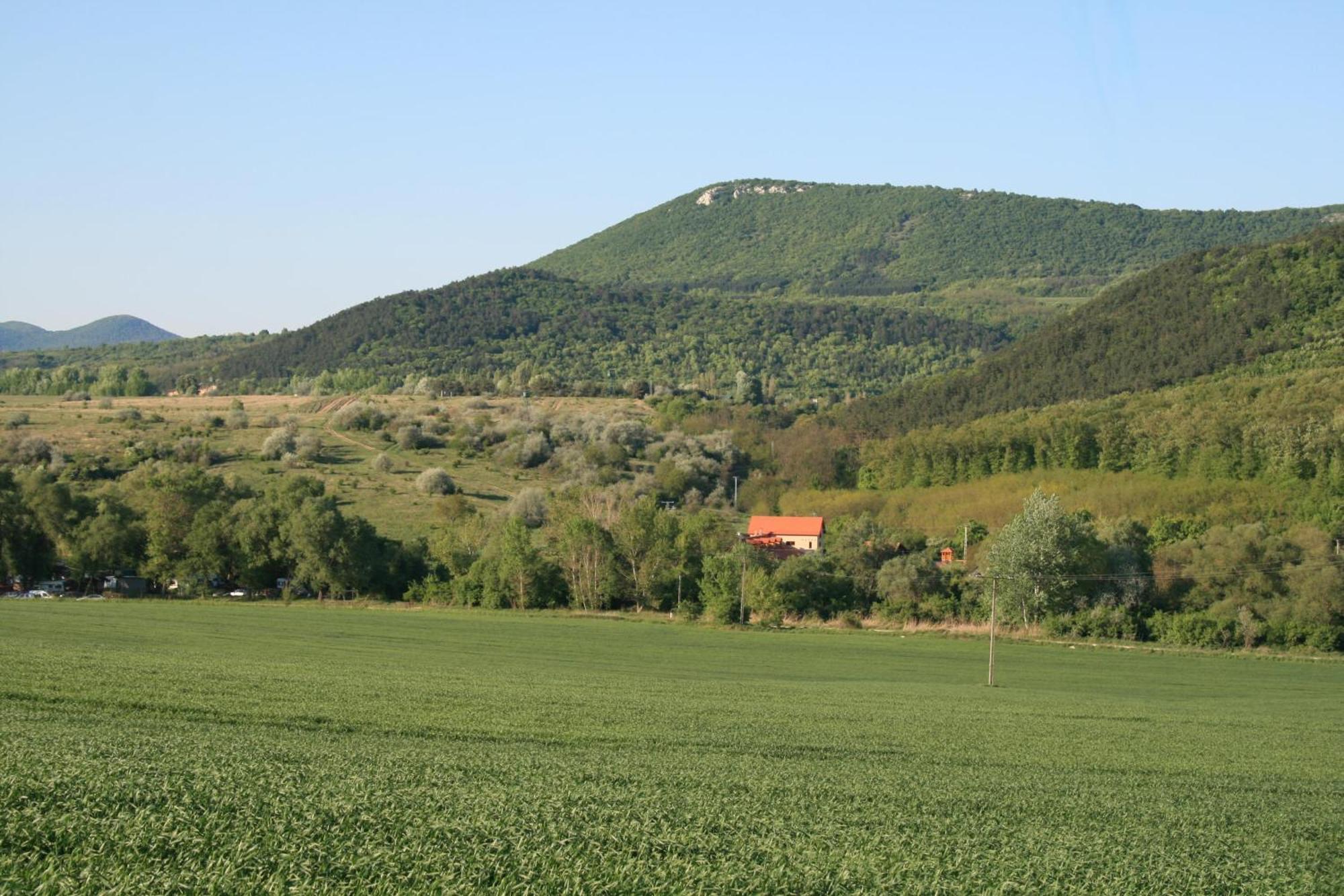 Gasthaus Malomdulo Farmhaz Pilisborosjenő Exterior foto
