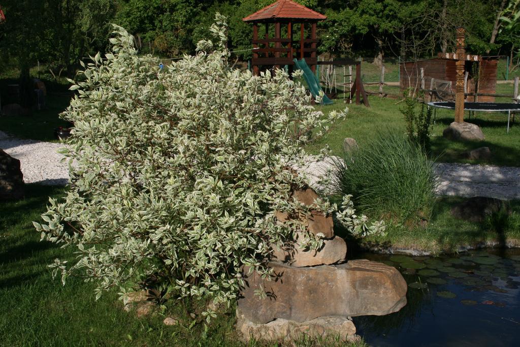 Gasthaus Malomdulo Farmhaz Pilisborosjenő Exterior foto