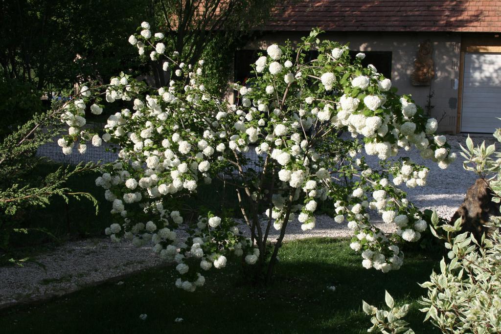 Gasthaus Malomdulo Farmhaz Pilisborosjenő Exterior foto