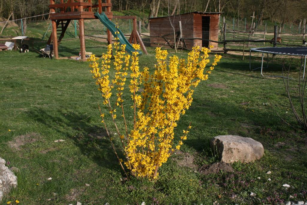 Gasthaus Malomdulo Farmhaz Pilisborosjenő Exterior foto
