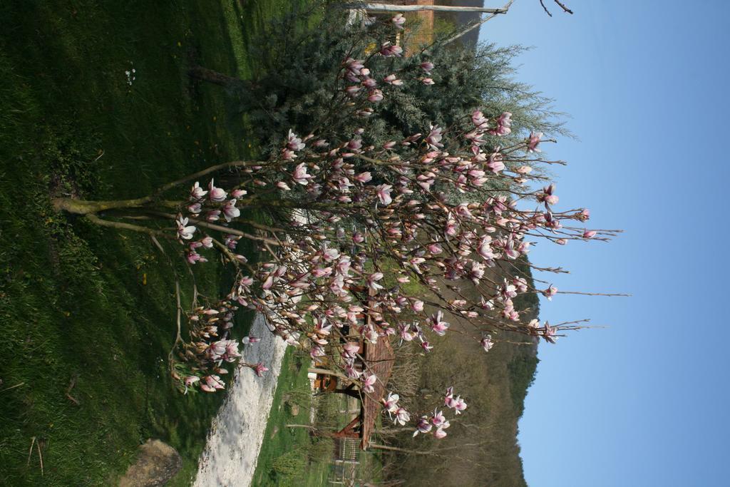 Gasthaus Malomdulo Farmhaz Pilisborosjenő Exterior foto