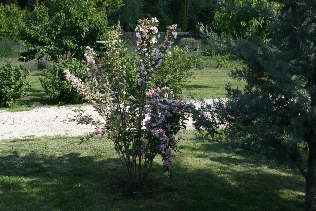 Gasthaus Malomdulo Farmhaz Pilisborosjenő Exterior foto